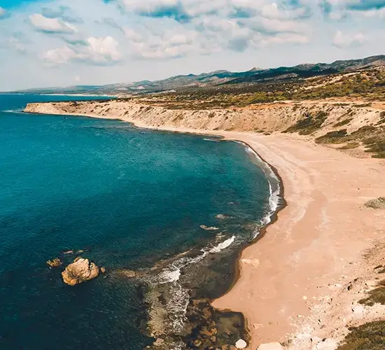 From Rugged Shore to Forest