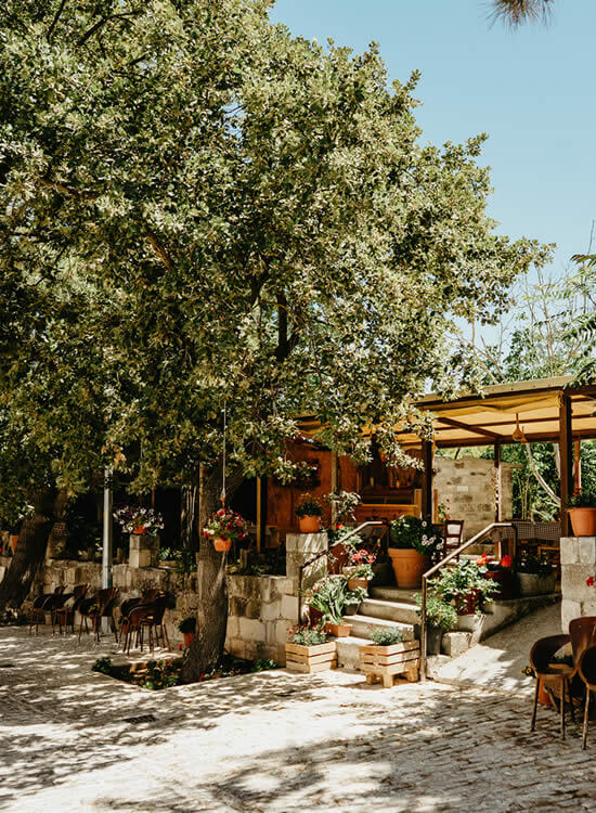 A Cypriot Feast