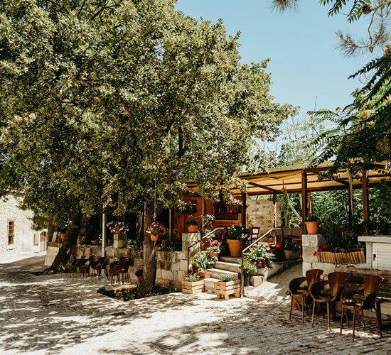A Cypriot Feast