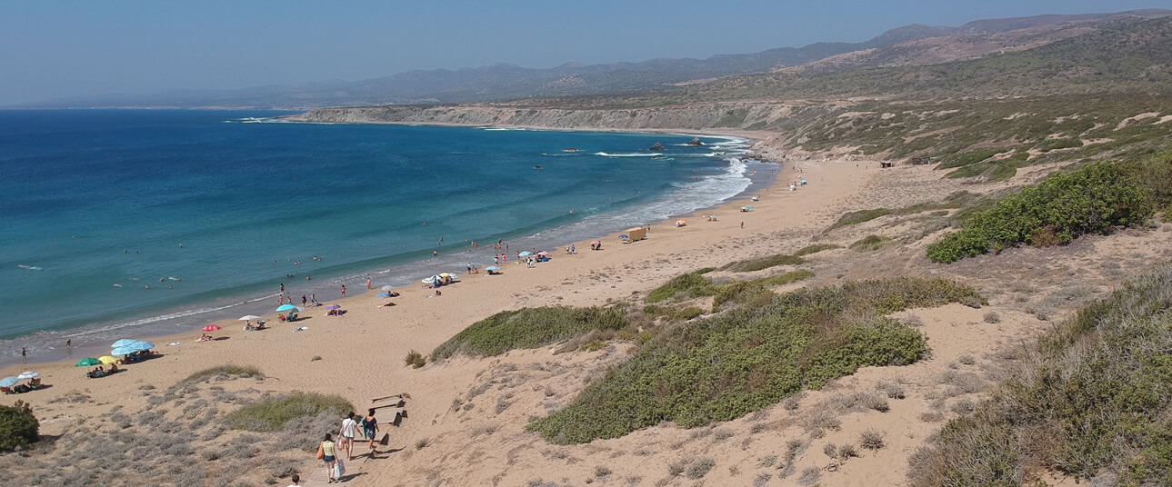 Go to the Beach-and Enjoy a Day in the Sun