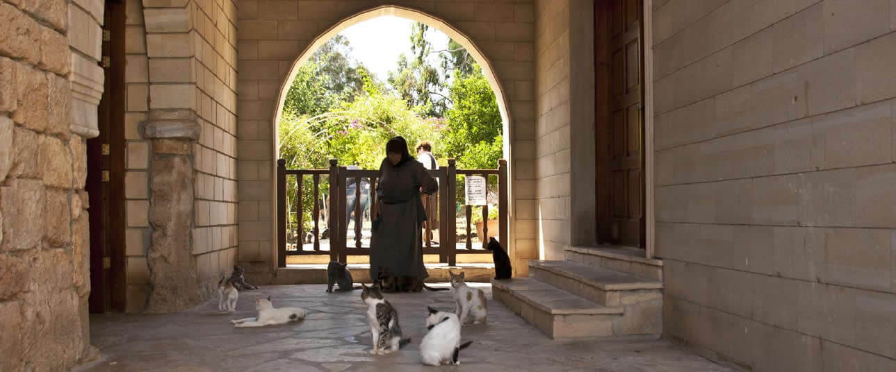 A Visit to the Monastery of Saint Nicolas of the Cats
