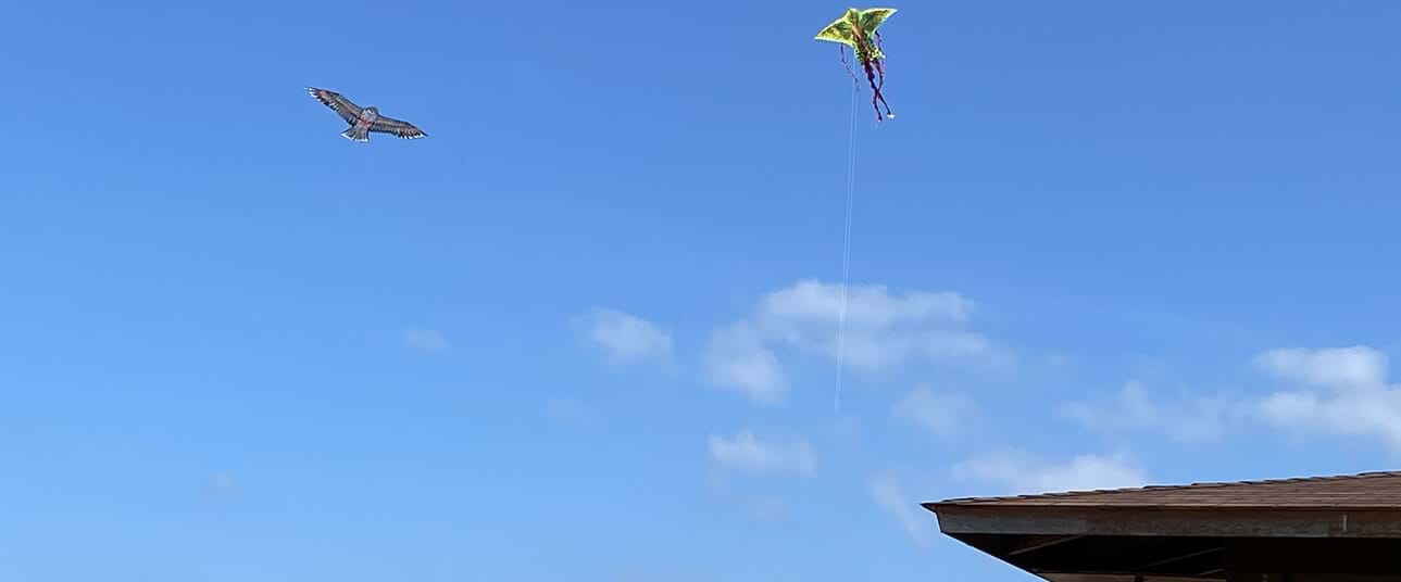The Kite-Flying Tradition in Cyprus