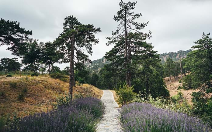 Troodos 